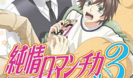 纯情罗曼史动漫,甜蜜校园恋爱记